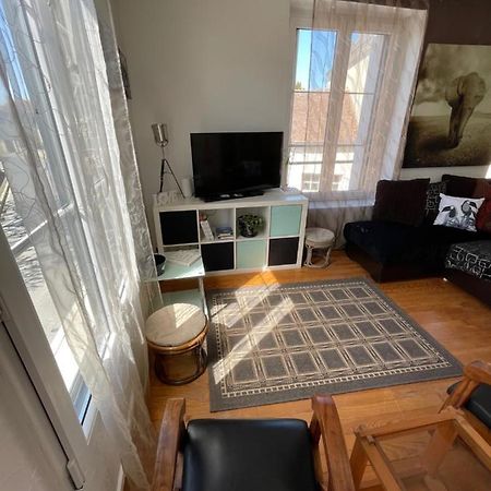Duplex Διαμέρισμα Beaumont-sur-Sarthe Εξωτερικό φωτογραφία